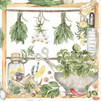 20 Napkins Food & Drink Collected Herbs as Table Decoration Paper Napkins with Motif Also for Decoupage and Decoupage 33 x 33 cm