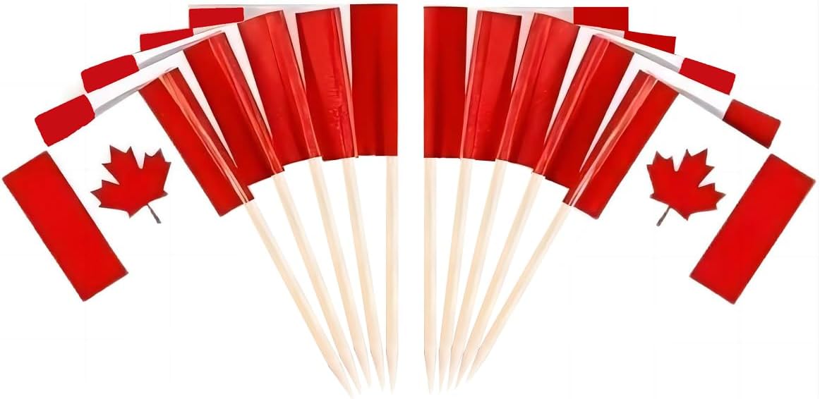 JAVD CYPS 100 Pcs Canada Flag Canadian Toothpick Flags, Small Mini Stick Cupcake Toppers Canadian Flags,Country Picks Party Decoration Celebration Cocktail Food Bar Cake Flags