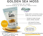 Elderwise Raw Sea Moss | Seamoss Makes 24oz of Gel | Wildcrafted Golden Sea moss | Raw | Sundried | Mineral and Vitamin Rich | Golden