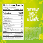 ChewzMe Tangy Turtlz Gummies, Individually Wrapped Turtle Shaped Jelly-Filled Gummy and Chewy Candy in Assorted Flavors, 8.46 Ounce (Pack of 1)