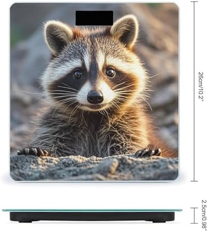 Cute Raccoon Bathroom Scale for Body Weight Bathroom Weighing Scales with Back Lit LED Display Sturdy Tempered Glass Body Weight Bathroom Scale 400lb Weighing