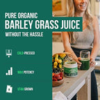Organic Barley Grass Juice Powder - Grown in Volcanic Soil of Utah - Raw & BioActive Form, Cold-Pressed then CO2 Dried – Gluten Free, GMO free, Vegan - Complements Wheatgrass Juice Powder - 5.3 oz