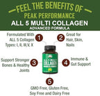 Peak Performance All 5 Multi-Collagen Capsules - 90 Pills of Grass Fed Peptides Protein - Supplement with All 5 Collagen Types I, II, III,V, X from Beef, Fish, Eggshell, and Chicken Bone Broth