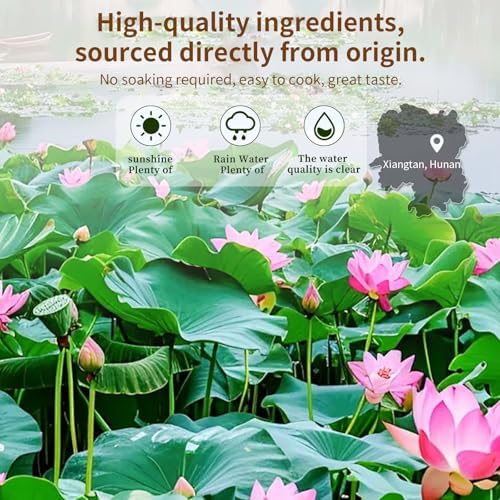 Baihuatang Natural Lotus Seeds for Tea Porridge Natural Dried White Lotus Seeds (Lian Zi) - 300g Herbal Tea & Cooking Ingredient, Perfect for Porridge, Soup, and Traditional Recipes 莲子 百合银耳莲子羹原料