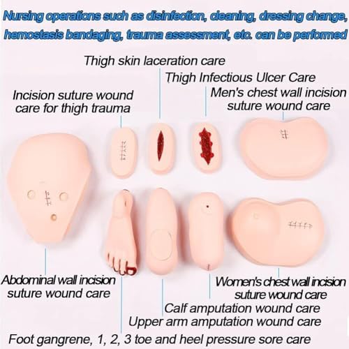 Life Size Patient Care Manikin 170cm/5.57ft Life Size Multi-Functional Patient Care Simulator Male and Female Nursing Manikin Human Anatomical Model
