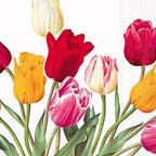 IHR 20-Count 3-Ply Lunch Paper Napkins, 6.5 x 6.5-Inches, Tulips White
