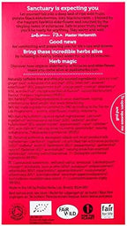 Pukka Organic Elderberry & Echinacea with Elderflower Tea - 20 Tea Bags