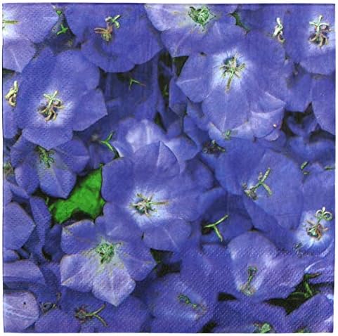 Iconikal 75-Count Disposable Paper Party Napkins Violets 6.5x6.5-Inch 2-Ply Purple Flower Design Birthday Garden Party Decor Bulk Pack