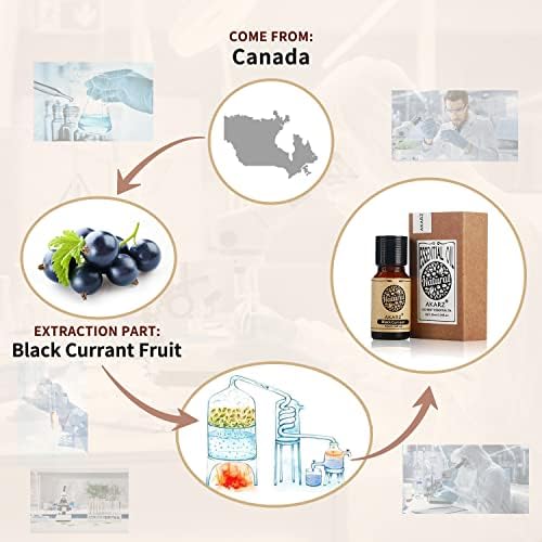 AKARZ Black Currant Essential Oil Natural Organic Pure Black Currant Oil for Skin Body Hair Care,Diffuser, Candle,Soap,Making, DIY,Massage Aroma 0.34 Fl Oz (10ml)