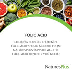 NaturesPlus Folic Acid (Methylfolate) - 800 mcg - 90 Tablets - Supports Immune & Prenatal Health - Gluten Free, Vegetarian, Allergen Free - 90 Servings