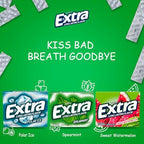 Assorted Chewing Gum, Variety pack Of Extra Long Lasting Flavors, Sugar Free, Receive 8 Flavors plus 1 Extra pack (9 Pack), 1 Sticker Of Our Logo, Packed In Bitetwist Protected Gift Pack