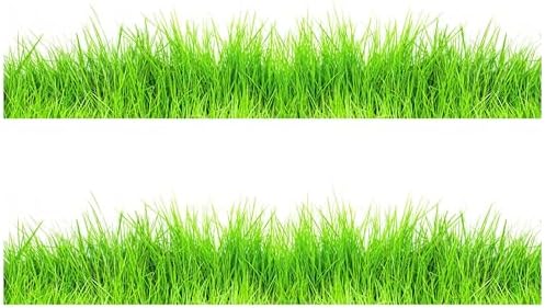 Grass Edible Image cake border 2 Strips per sheet 3.5x10.5 inchs