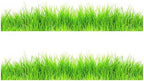 Grass Edible Image cake border 2 Strips per sheet 3.5x10.5 inchs