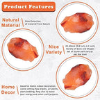 Crocon 1LB Carnelian Rough Bulk Natural Stone Raw Stone Tumbling Cabbing Polishing Mining Chakra Balancing Reiki and Crystal Healing Good Luck Home Office Decor