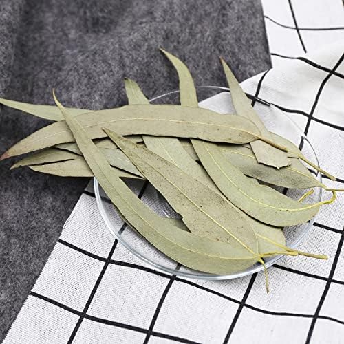 FullChea - Dried Eucalyptus Leaves - 4oz/114g - Hojas de Eucalipto - Premium Chinese Dried Eucalyptus Herb Whole Leaf - Non-GMO - Caffeine-free - Easy Breathing Support