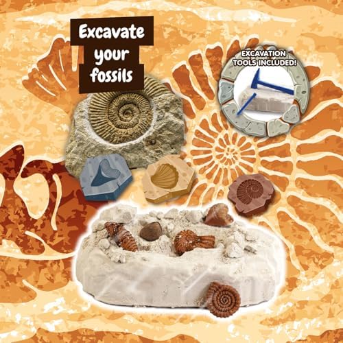 Science4you Fossil Digging Kit for Kids – Archeology, Excavation and Paleotology Kits for Kids, Fossil Dig, Stem Toy and Gift for Boys and Girls Age 6 7 8-12+