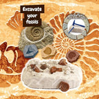 Science4you Fossil Digging Kit for Kids – Archeology, Excavation and Paleotology Kits for Kids, Fossil Dig, Stem Toy and Gift for Boys and Girls Age 6 7 8-12+