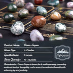 Polished Stone Set Ocean Jasper Crystals, 0.8" Handpicked Tumbled Gemstones Rocks, Pebbles for Reiki, Chakra, Healing, Home Decor