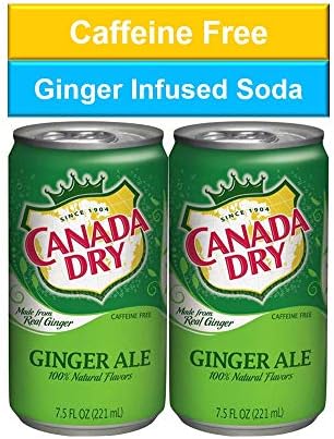 Canada Dry Ginger Ale Mini Soda Cans, 7.5 oz Soft Drinks Bulk Snacks Pack, Small Refrigerator & Snack Pantry Drink 24 Count Beverage Kitchen Supplies