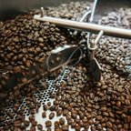 5 lbs (16 oz / 454 g) Jamaica Jamaican Blue Mountain Dark Roasted Coffee Beans, Roasted on the Day of Shipping