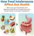 5Strands Comprehensive Gut Health Test for Adults & Kids, 1000+ Food Items Tested, Non-Invasive, At Home Hair Sample Screening for Food Intolerances, Results in 4 Days