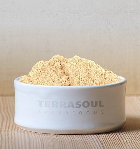 Terrasoul Superfoods Organic Ginger Powder, 1 Lb - Lab-Tested | Raw | Potent Spicy Flavor