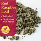 Red Raspberry Leaf Tea Loose - Dried Cut & Sifted Leaves - Natural Raspberries Rubus Idaeus Herbal Tea Bulk, 2 oz