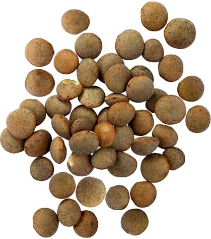 Palouse Brand Certified Glyphosate Residue Free Brown Lentils | 5 LBS | Desiccant Free | Sproutable | Non-GMO Project Verified | Kosher