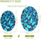 Blue Butterfly Kitchen Scrub Sponges, Pop-up Kitchen Cleaning Sponges Reusable Dish Washing Sponges for Bathroom Household Cleaning 3 Pack - Non Scratch Scrubber