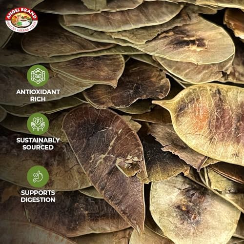 Angel Brand Senna Pods - 0.5 Pouch, Pack of 3 - Senna Pods for Tea and Traditionals Uses.