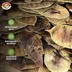 Angel Brand Senna Pods - 0.5 Pouch, Pack of 3 - Senna Pods for Tea and Traditionals Uses.