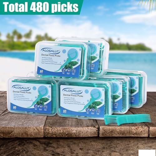 480 Count Dental Floss Picks – Mint Flavored Flossers with Built-in Toothpick for Deep Cleaning – 8 Portable Boxes of 60 – Strong & Smooth Floss Sticks for Family Home Travel for Adults