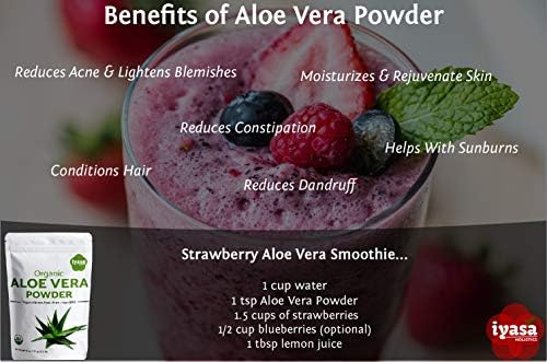 Iyasa Holistics Organic Aloe Vera Powder 8 oz – Aloe Barbadensis Whole Leaf – USDA Certified Finely Ground, Easy Mix Formula – DIY Natural Skincare – Ideal for Aloe Vera for Face & Hair Care