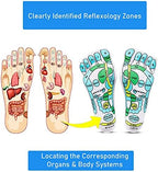 Acupressure Reflexology Socks for Women & Men Foot Massage Five Toe Separate Socks Cotton Reflexology Acupressure Charts & Rod Included; Relief Body Stress & Aches, Trigger Health & Wellness