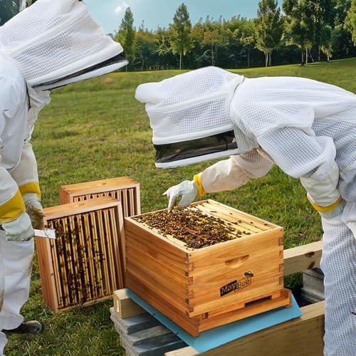 Beehive Starter Kit 8-Frame Bee Boxes and Frames Starter Kit Wax Coated Bee Hives and Supplies Starter Kit Including Beekeeping Tools Kit with Beekeeping Veil