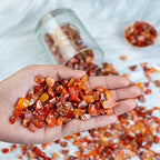 Crocon 1/2 LB Crushed Carnelian Chips Bulk Stone 1100+ Carats Natural Quartz Pieces Irregular Shape Gemstone Tumbling Cabbing Gem Mining Chakra Balancing Reiki and Crystal Healing Home Office Décor