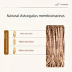 Astragalus root-Pure and Natural Herbal Tea -Chinese herbal medicine- 黄芪 6oz/170g (Astragalus root)
