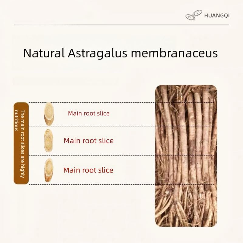 Astragalus root-Pure and Natural Herbal Tea -Chinese herbal medicine- 黄芪 6oz/170g (Astragalus root)