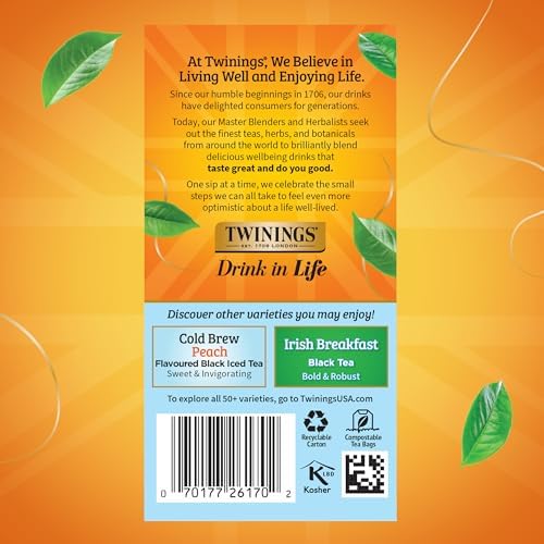 Twinings Cold Brewed Iced Tea - Mint Flavored Green Tea with Peppermint Leaves, Caffeinated Green and Black Tea Extracts, Unsweetened Cold Brew Tea Bags Individually Wrapped, 20 Count