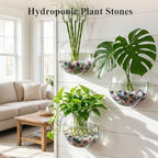 JOHOUSE Quartz Crystals, Crushed Chips Tumbled Polished Stones, Assorted Irregular Shaped Decorative Rocks, Succulent Pebbles for Indoor Plants, Aquarium Betta Fish Tank Gravel, Vase Filler 0.2"-0.5"