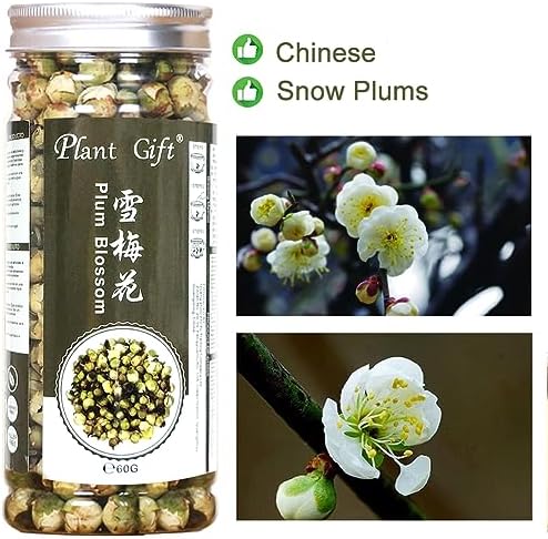 Plant Gift Snow Plum Blossom Tea, Dried Flower Tea, Loose Health China, 60g / 2.11oz