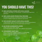FreshDrinkUS, Premium Gotu Kola Leaves (Centella asiatica) | 8 oz Dried Loose Leaf | Naturally Mild & Earthy Herbal Tea – Premium Quality Leaves. Sugar-Free. Caffeine-Free. Vegan