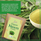 Jiva Organics Organic Neem Leaf Powder 1.5 Pound Bulk Bag - Azadirachta Indica - Pure & Natural Ayurvedic Herb - Neem Powder for Eating, Skin, Gums, and More!