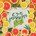 Ting, Sparkling Jamaican Grapefruit Flavored Beverage, 20oz Bottle (Pack of 10, Total of 200 Fl Oz)