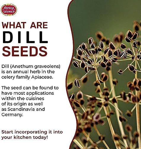 Dill Seeds 5 Pounds Bulk (Suva)