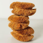 Pack of 6 Tawashi Vegetable Scrub Brush,100% Natural Coconut Coir Fiber VegetableBrush, Ideal for Fruit Scrub, Kitchen Cleaning Needs, Kamenoko Japanese Design