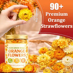 90+ Edible Dried Flowers for Cake Decorations, 100% Natural Dried Strawflowers Orange & Yellow for Cocktails Garnish, Drink Botanicals and Baking