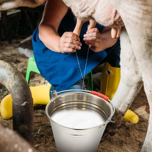 Garneck 2 Gallon Stainless Steel Bucket - Milk Pail Ice Bucket - Stainless Steel Bucket with Handle + Lid Cover - Milk Pitcher Water Kids Drinks Household Ice Container Fireplace Child Flowerpot