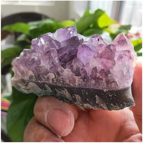 Health & Household Natural Dream Amethyst Quartz Crystal Cluster Specimen Healing