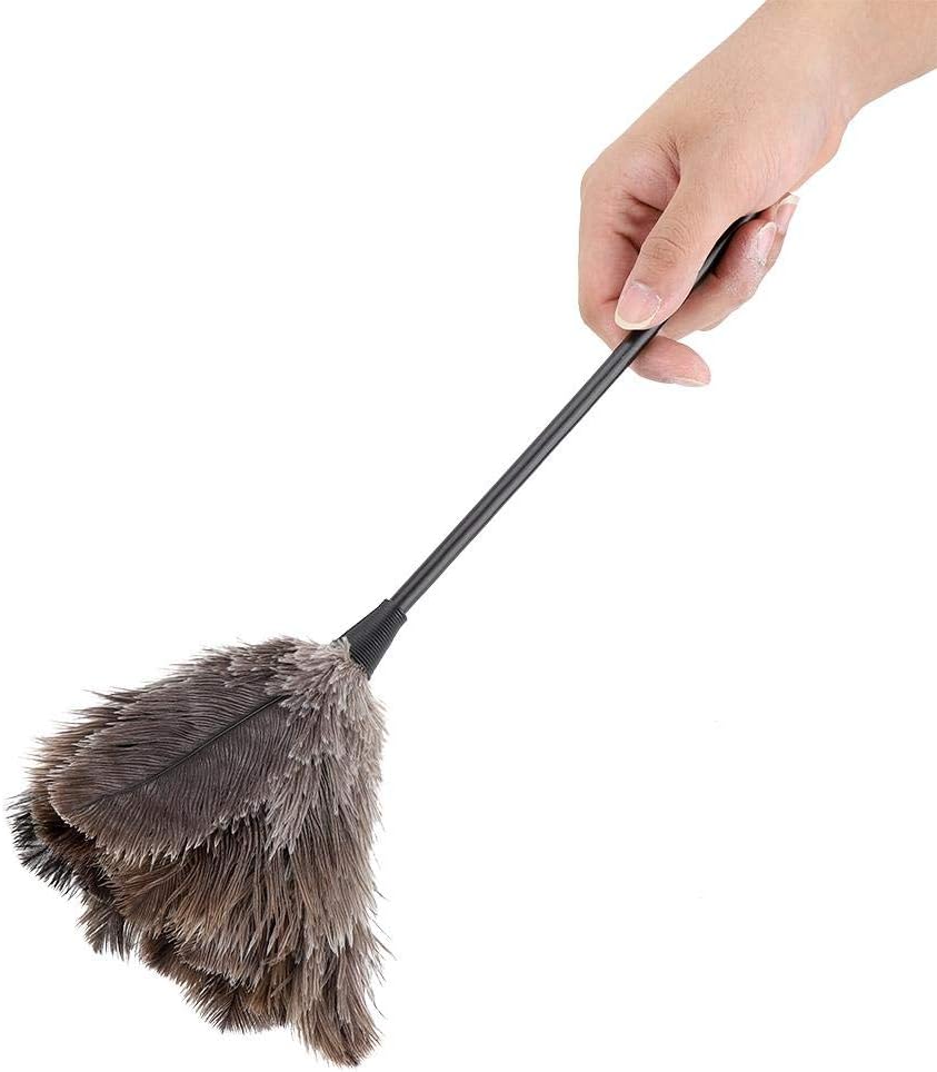 Ostrich Feather Duster, Mini Handmade Washable Reusable Ostrich Feather Duster Brush with Long Plastic Handle for Car Keyboard Office Home Furniture, 40cm/15.74inch Multicolor